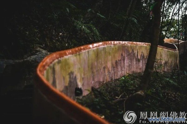 图片起首：网释教文化 照相：十愿